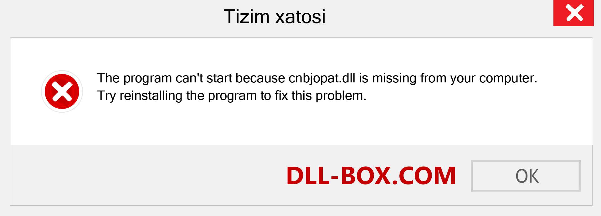 cnbjopat.dll fayli yo'qolganmi?. Windows 7, 8, 10 uchun yuklab olish - Windowsda cnbjopat dll etishmayotgan xatoni tuzating, rasmlar, rasmlar